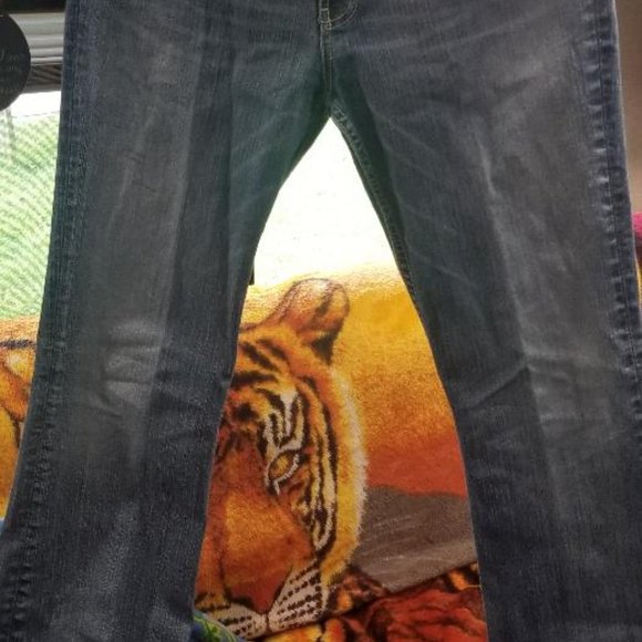 Buckle BKE Jeans & Capris - Picture 13 of 15